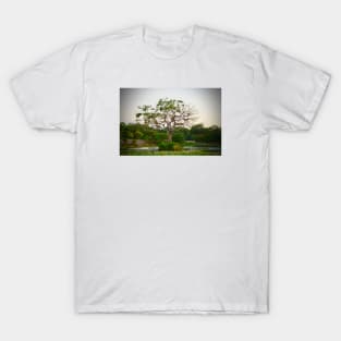 Tree of Life / Swiss Artwork Photography T-Shirt